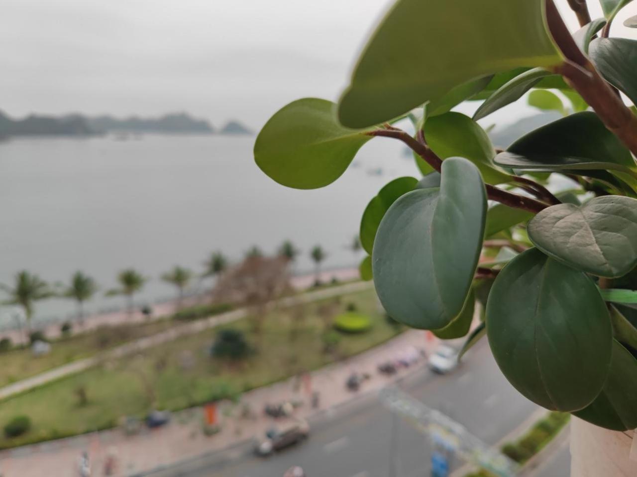 Star Hotel Cat Ba Island Esterno foto